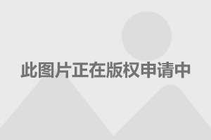 超市百货超市围裙超市百货超市中的时尚围裙，多样性与实用性并存