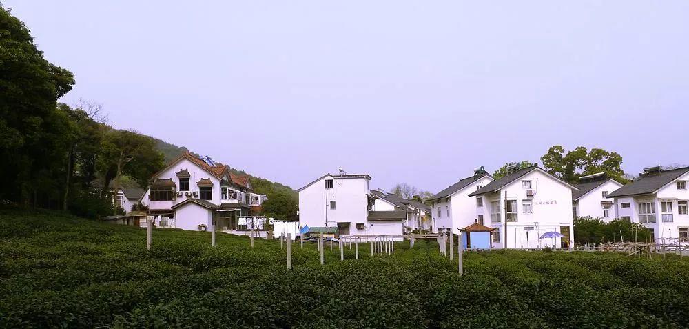 常熟碧溪滨江人才市场招聘常熟碧溪滨江人才市场招聘——人才的汇聚与机遇的碰撞