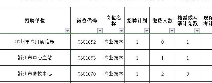 安徽省滁州市人才招聘网安徽省滁州市人才招聘网，连接人才与机遇的桥梁