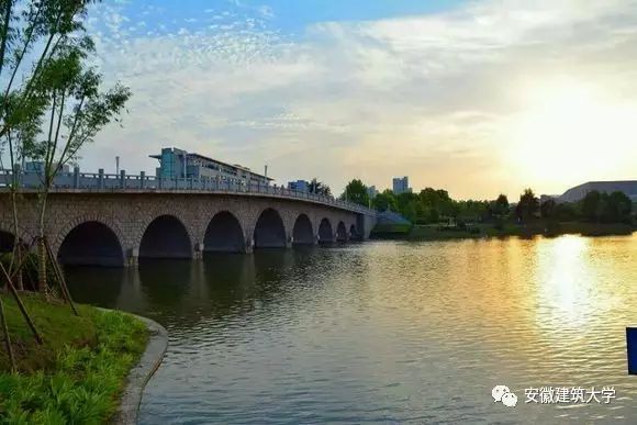 安徽建筑大学人才网站安徽建筑大学人才网站——连接人才与未来的桥梁
