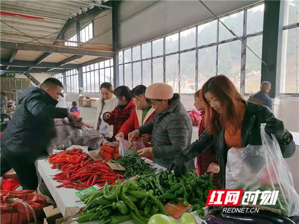 常德人才驿站招聘信息网常德人才驿站招聘信息网——连接人才与机遇的桥梁