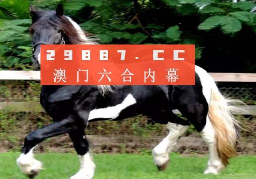 澳门与香港一肖一码一一子中特,精选解析解释落实|最佳精选