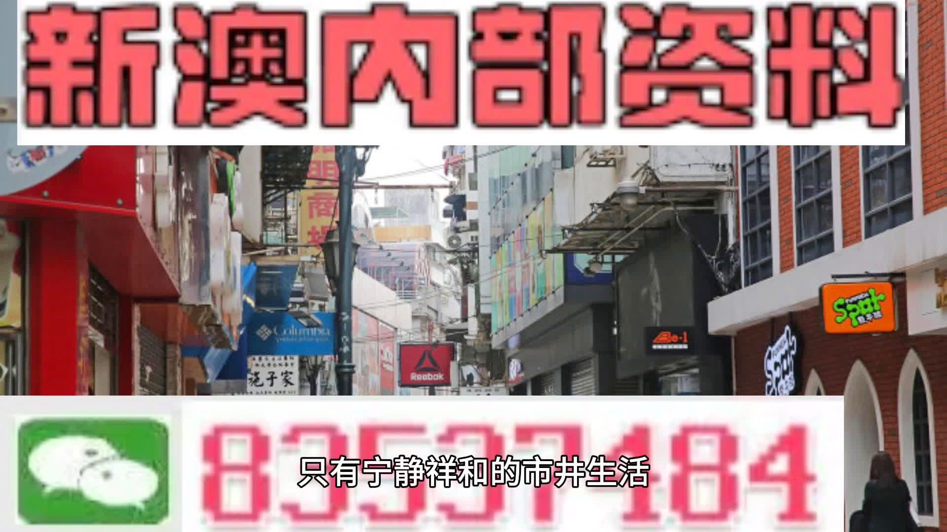 今晚新澳门精准四肖期期中特公开吗,使用释义解释落实|使用释义