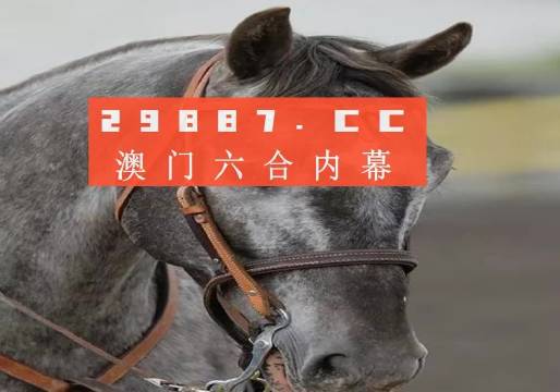 新澳门最准一肖一码一一中一特,词语解析解释落实|最佳精选