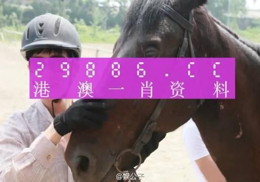 澳门一肖一特一码一中,精选解释解析落实|最佳精选