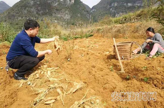 安顺人才网站是哪个安顺人才网站——连接人才与机遇的平台