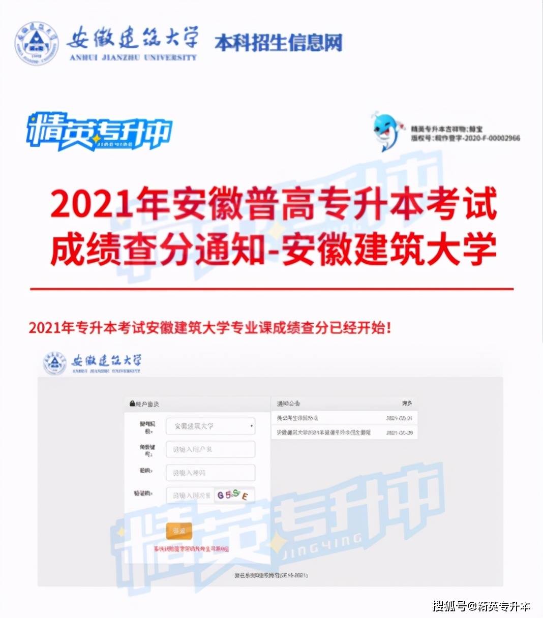 安徽专升本成绩查询入口安徽专升本成绩查询入口，全面解析与指导